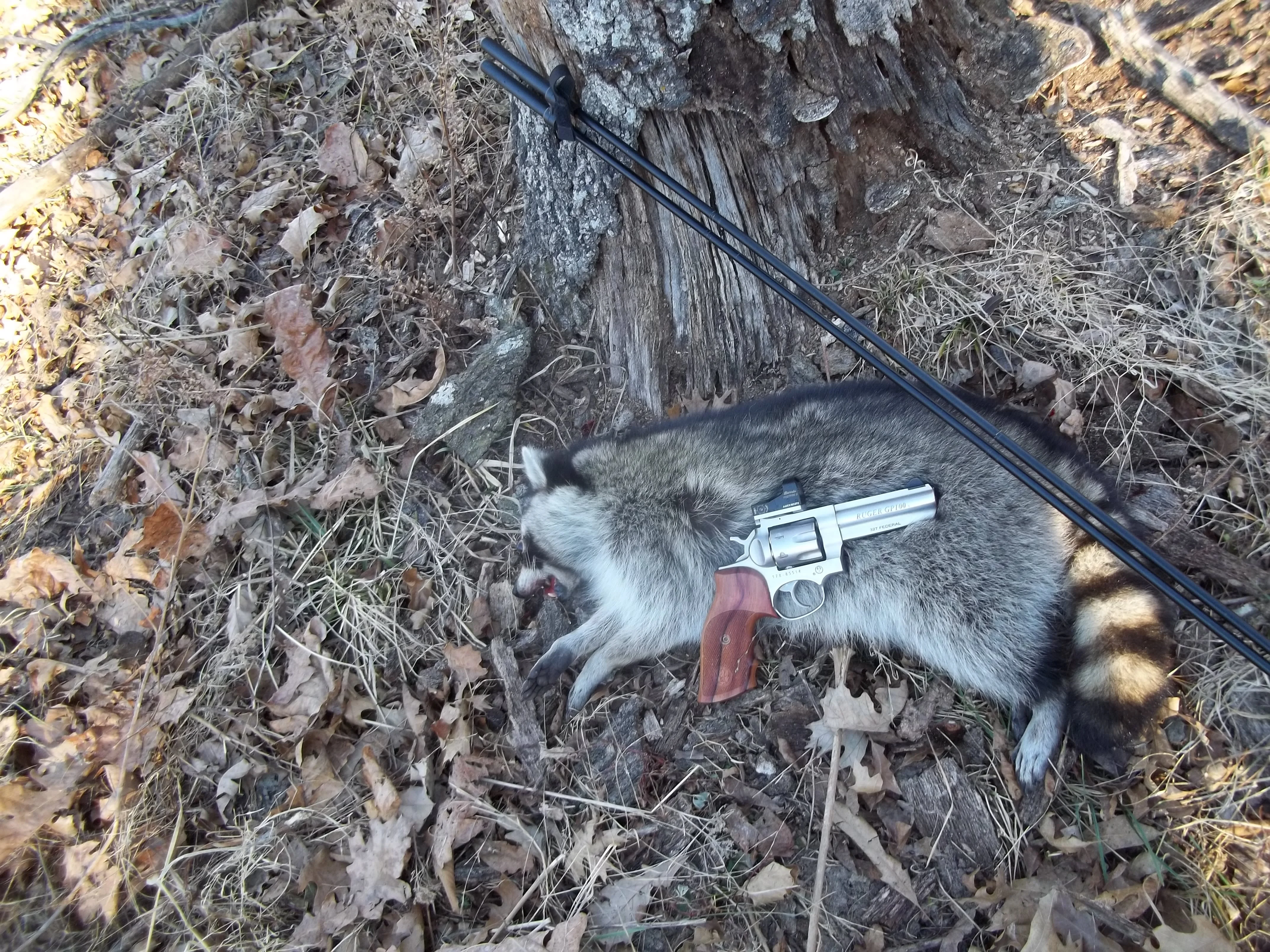 4LJ0t5K.webp
